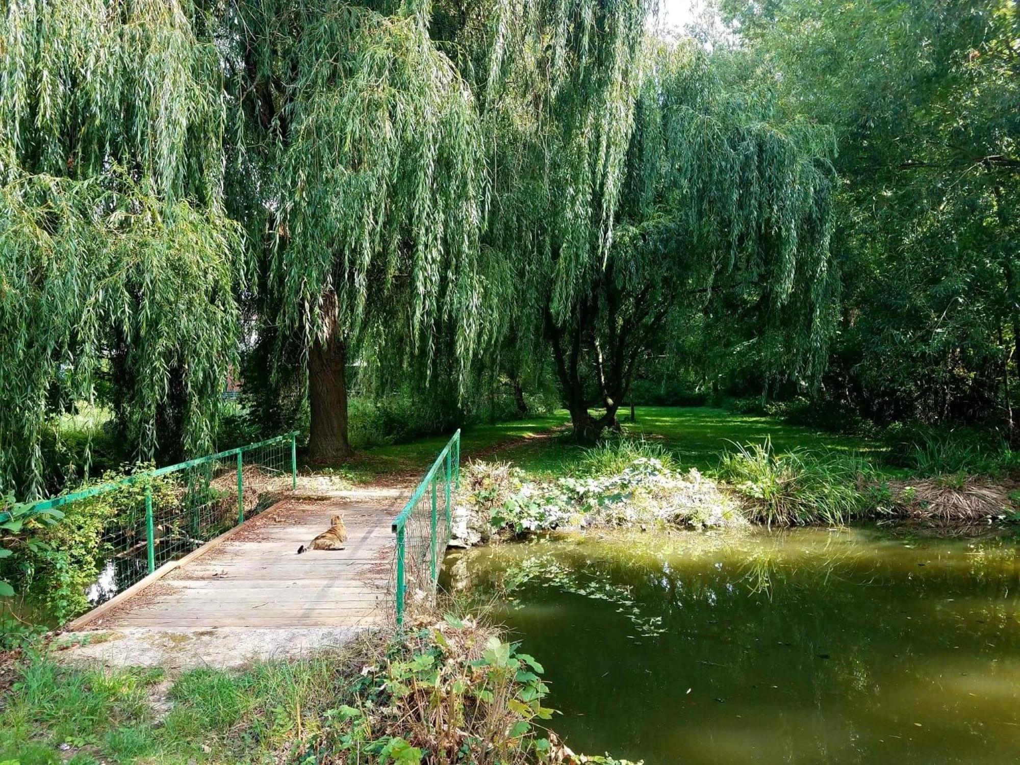 Отель Propriete Les Ruisseaux Seine-Port Экстерьер фото